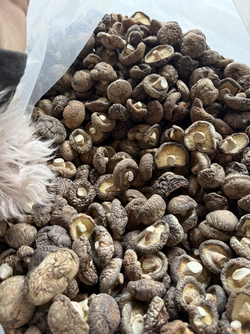 包邮精选干香菇3-4烘干剪脚常年供应全国发货