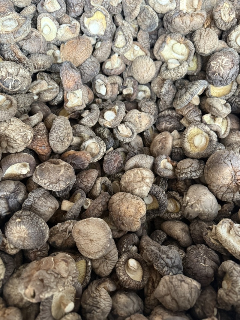 包邮精选干香菇3-4烘干剪脚常年供应全国发货