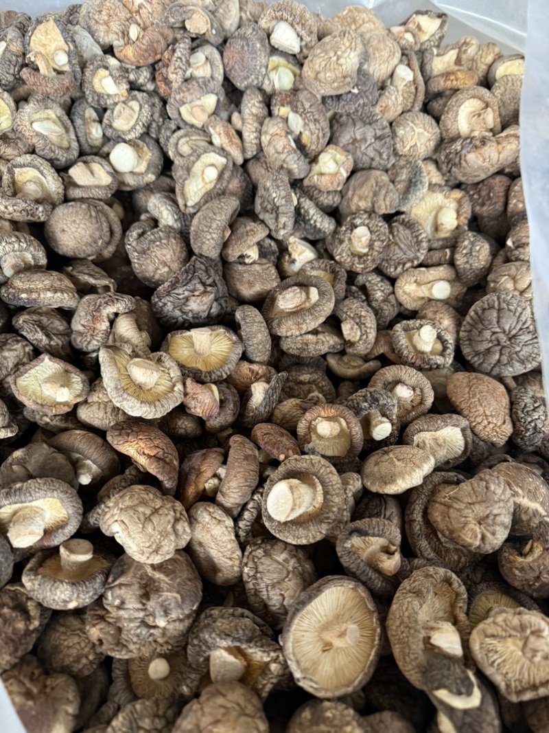 包邮精选干香菇3-4烘干剪脚常年供应全国发货
