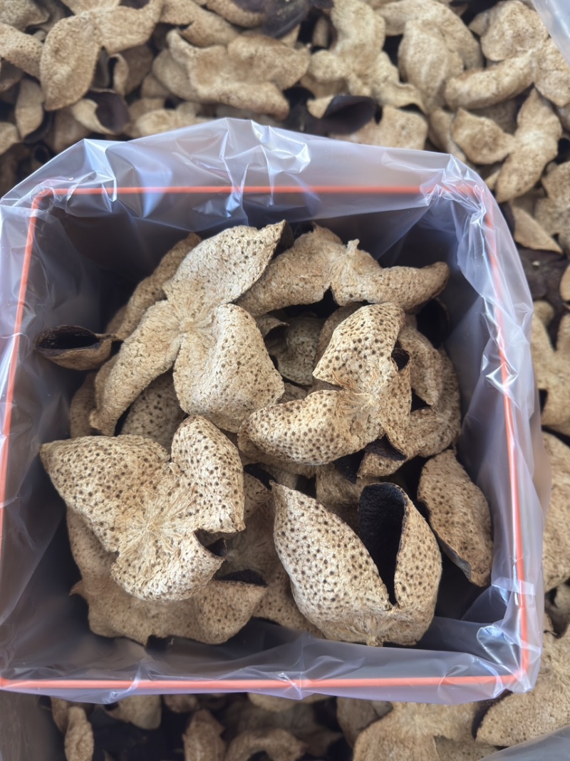 陈皮礼盒节日送礼新会陈皮生晒干仓老陈皮批发价