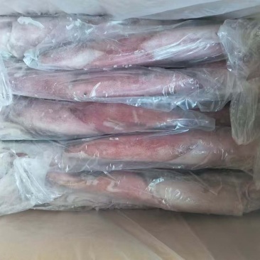 钓冻透抽，手钓鱿鱼鱿鱼，刺身鱿鱼海鲜水产批发酒店