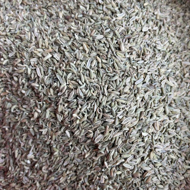 小茴香国产小茴香颜色青实拍视频现货道地药材