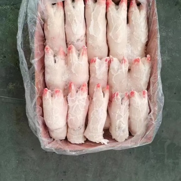 国产调理猪蹄