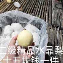 十几块钱精品二级水晶梨，捡漏的速来，货不多