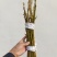辛夷苗当年苗二年苗药用嫁接砧木品种接穗
