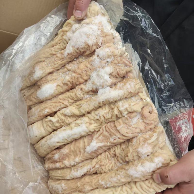 鑫伟佳纯干的无水无油八成熟大肠头