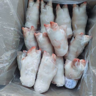 一级调理猪蹄