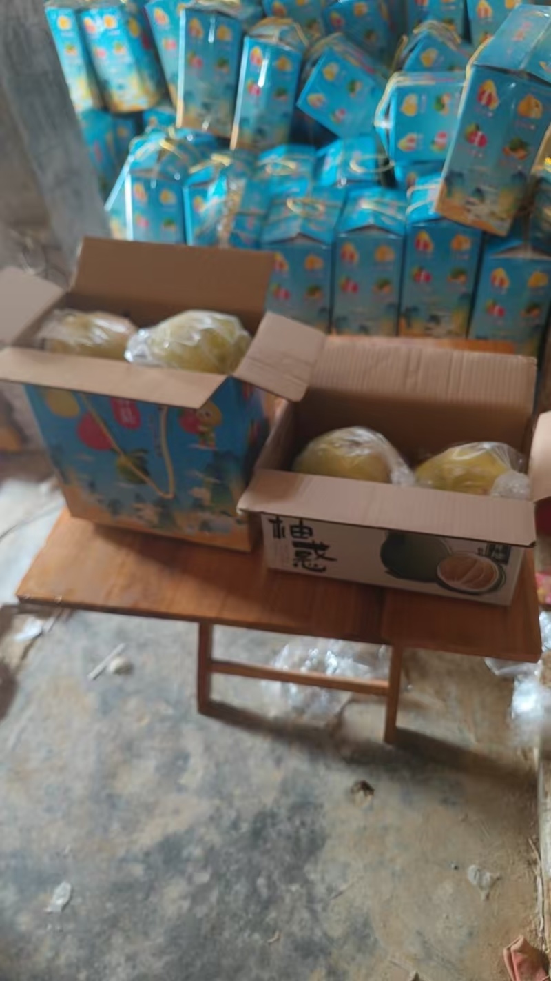 广西正宗翡翠青柚，红心柚子，广西种植，优质果肉，甜美可口