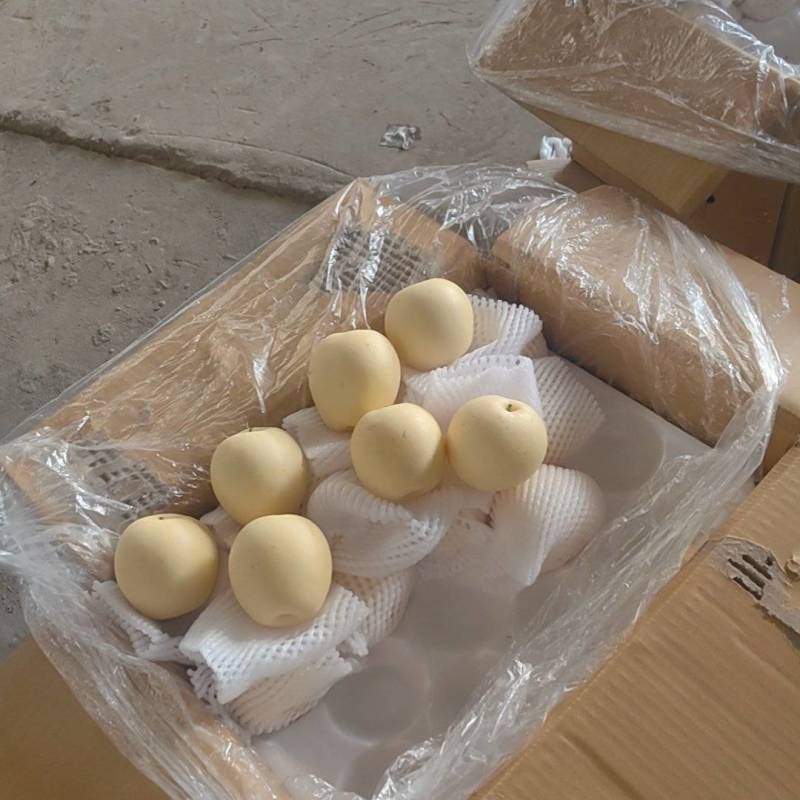 皇冠梨，梨，大量有货