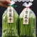 云南大理宾川贡菜