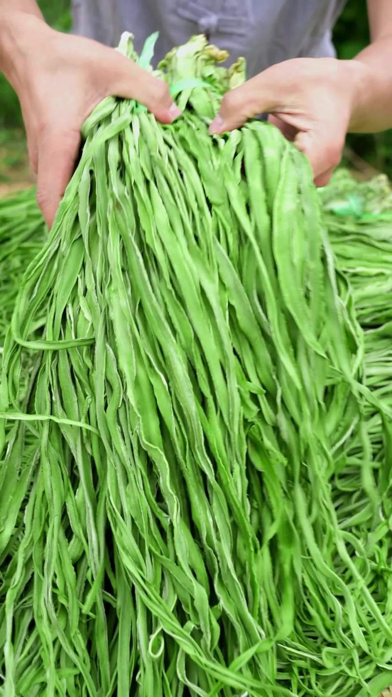 云南大理宾川贡菜