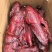 天府老厂大块肉，厂家直销每天新鲜出炉，麻辣和五香