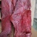 天府老厂大块肉，厂家直销每天新鲜出炉，麻辣和五香