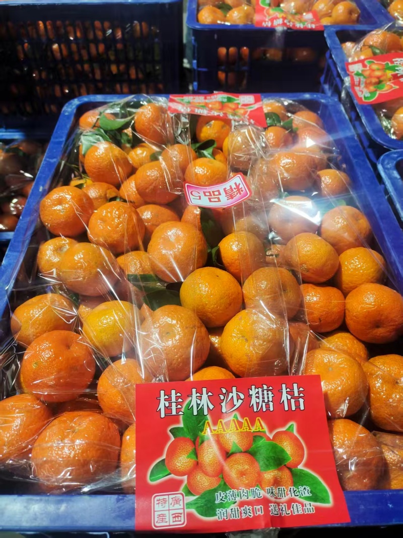 广西沙糖桔产地一手货源量大优惠，对接全国市场电商平台