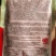 国审金甜糯1925国审华耐182甜糯玉米大棒