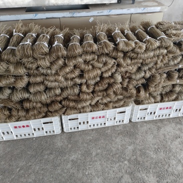农家精品红薯粉条