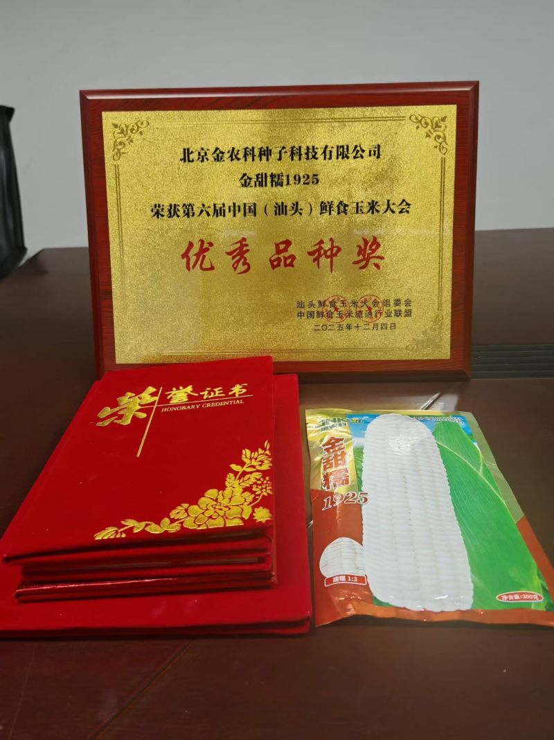 国审金甜糯1925国审华耐182甜糯玉米大棒