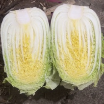 精品大白菜，货量充足，便宜的也有，欢迎咨询