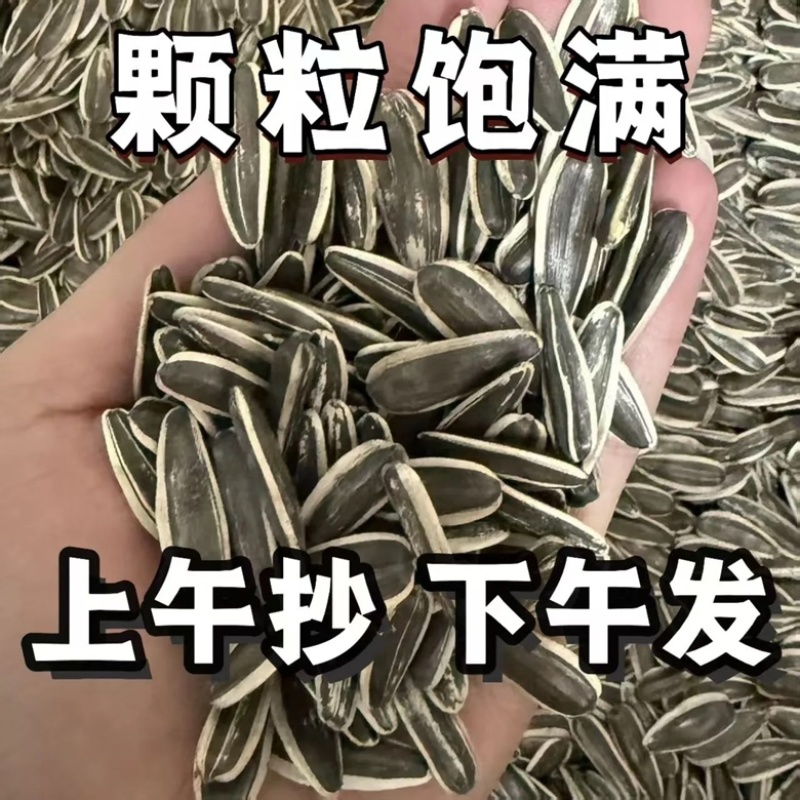 内蒙古原味瓜子炒葵花籽生瓜子熟瓜子批发可代发长期合作