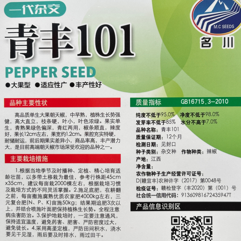 正宗大果美人椒富农99辣椒种子颜色亮两用型硬度好产量高