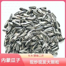 【现炒现发】炒熟原味瓜子瓜子葵花籽新炒大颗粒散装坚果瓜子