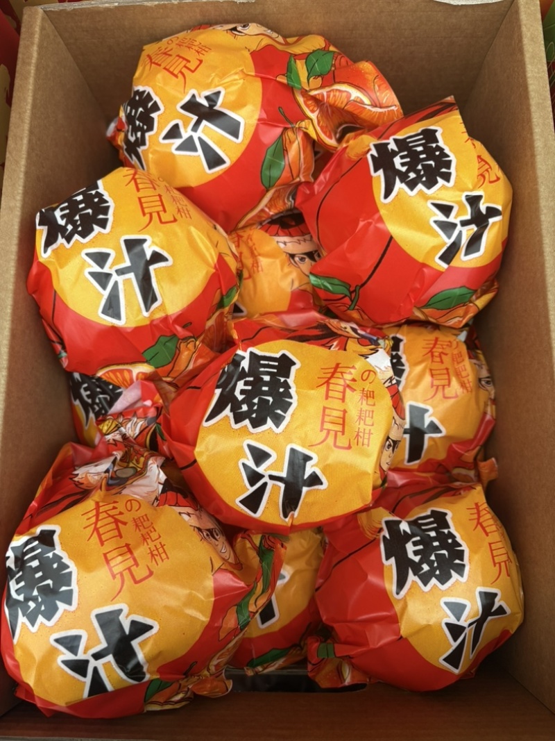 耙耙柑核心产区大量现货供应质量保证欢迎来电合作