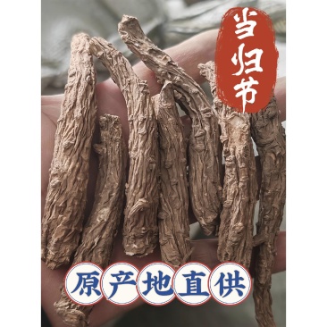 当归须，当归根段