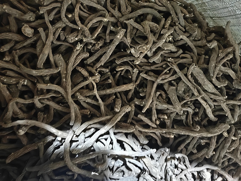 当归须，当归根段