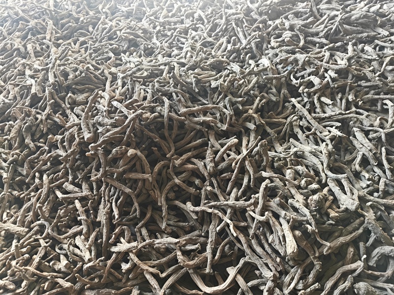 当归须，当归根段