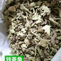 香茶菜铁菱角