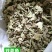 香茶菜铁菱角