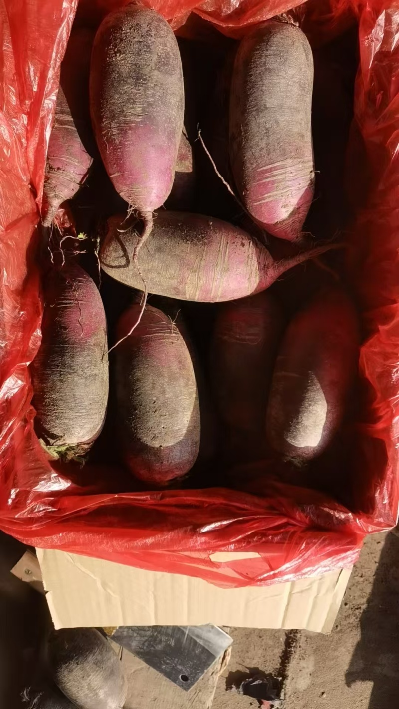 批发8两起步的箱装冰激凌萝卜