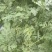 广东阳江大棚土地出租，适合种植瓜果蔬菜