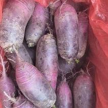 批发8两起步的箱装冰激凌萝卜