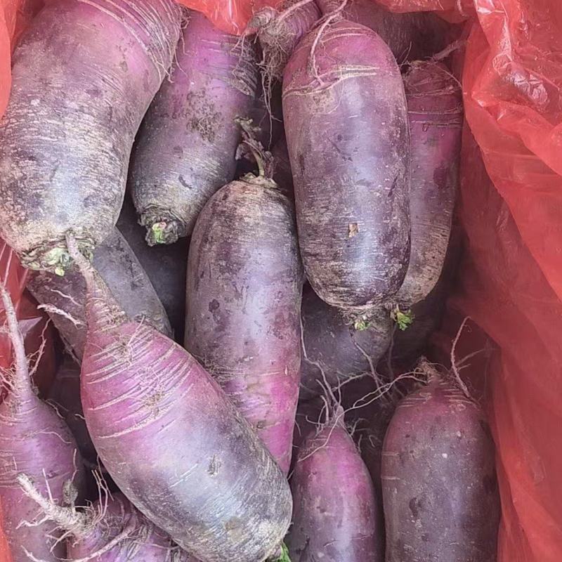 批发8两起步的箱装冰激凌萝卜