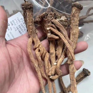 野蒲公英根蒲公英茶农家蒲公英晒干蒲公英根散茶