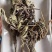 野蒲公英根蒲公英茶农家蒲公英晒干蒲公英根散茶