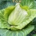 湖北牛心甘蓝菜，量大，实惠无烂菜，需要老板联系