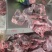 国产满肉猪颈骨6.5元斤20斤箱排骨米饭。酱大