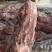 国产满肉猪颈骨6.5元斤20斤箱排骨米饭。酱大