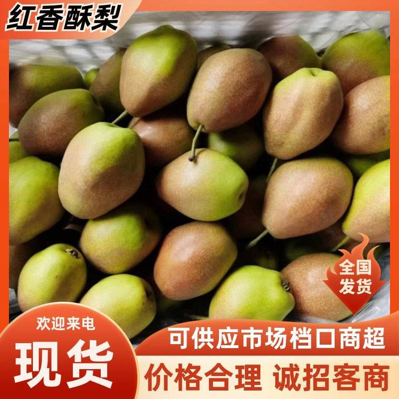 红香酥口感脆甜含糖量高购货源充足欲购从速