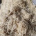 芥疙瘩丝芥菜丝腌芥菜厂家直发常年供应保质保量