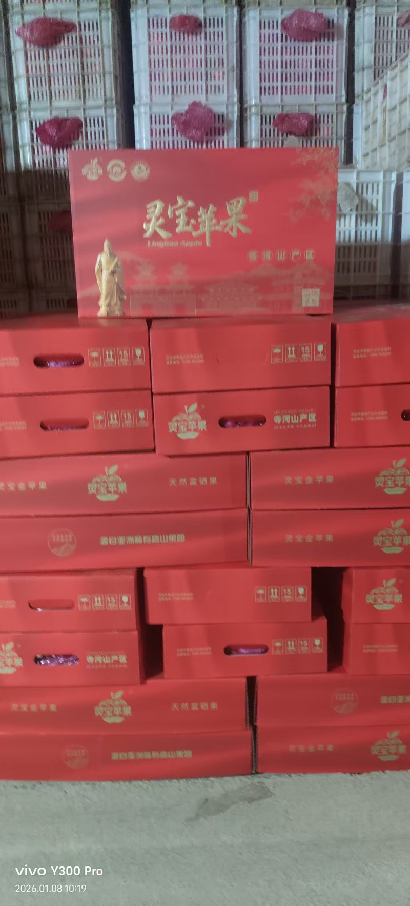 优质苹果