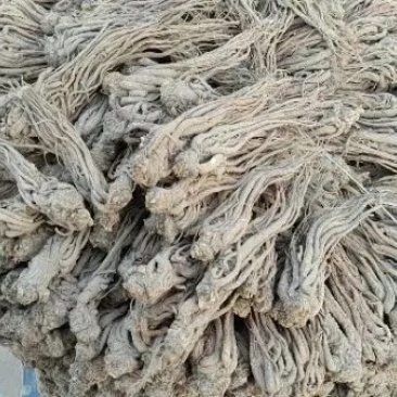 甘肃岷县原产地，当归中条，量大从优