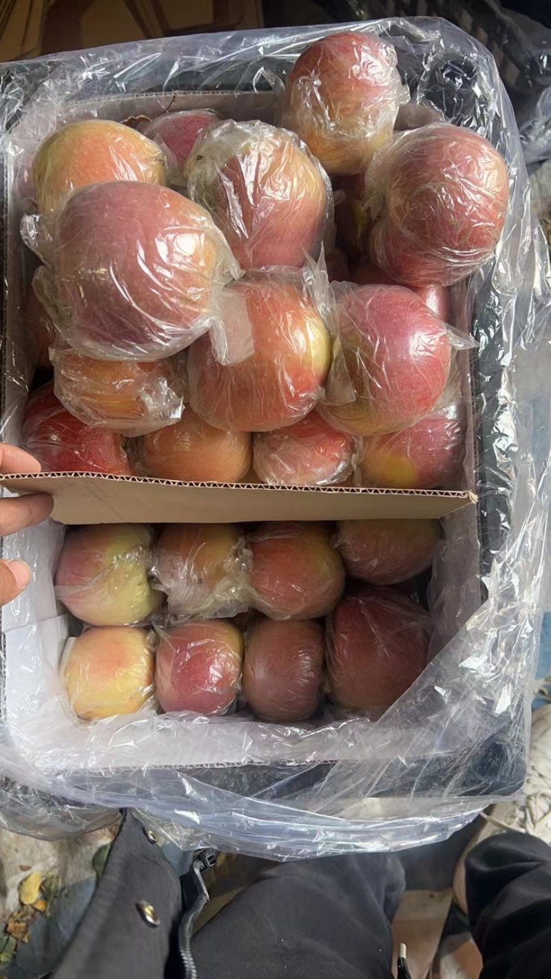 山西冰糖心苹果产地直发量大价优可对接商超电商欢迎致电