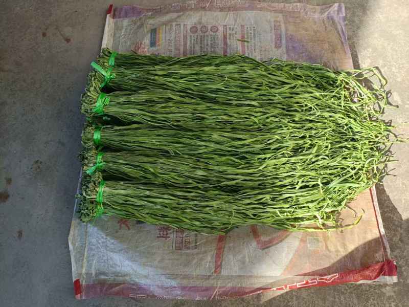 【大理产地直供】特级贡菜干农家自晒无硫熏餐饮火锅批发