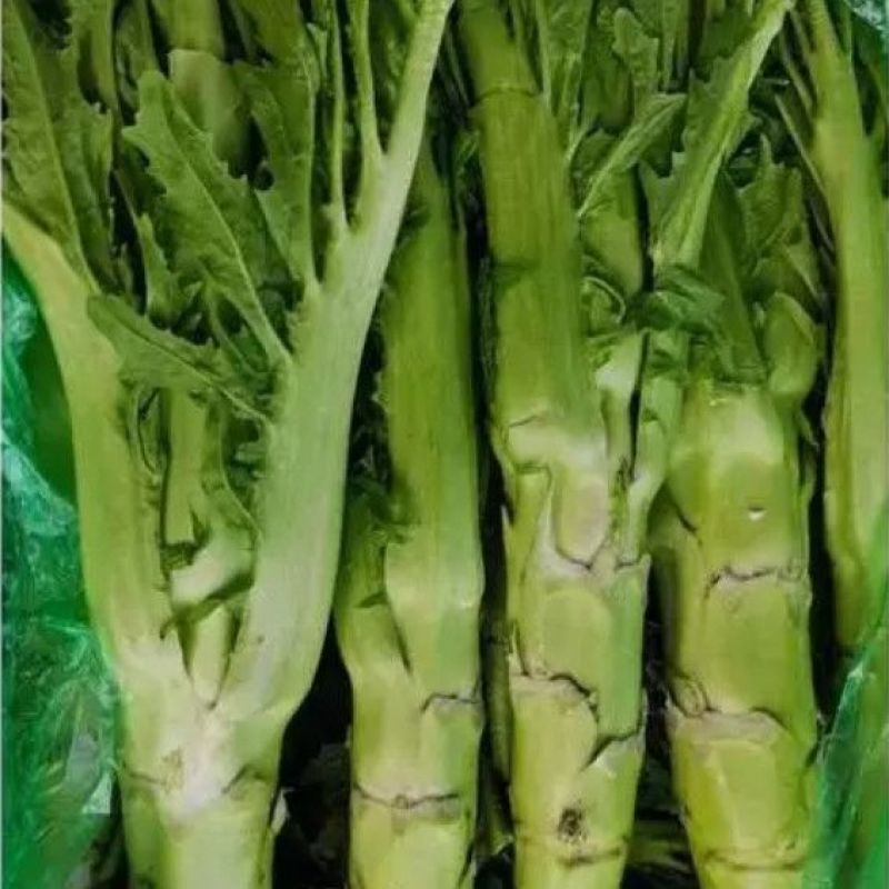 青菜头，大量上市，全国发货，产地直发，欢迎进店沟通。