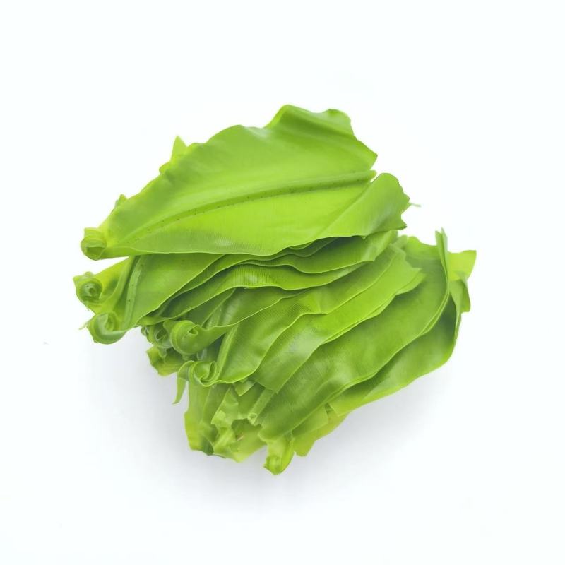 新鲜台湾山苏叶酒店特色菜现货食用山苏叶