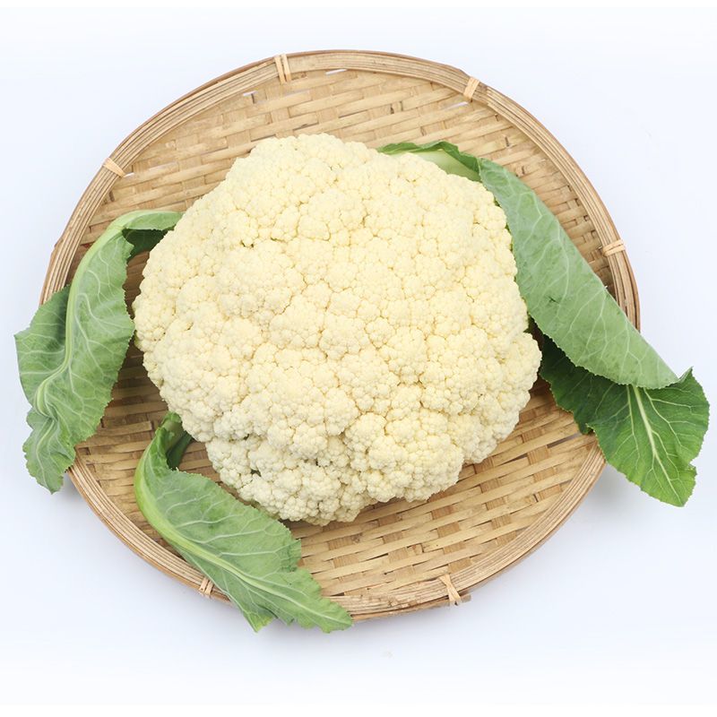 新鲜松花菜，全国发货，大量上市，欢迎进店沟通购买。