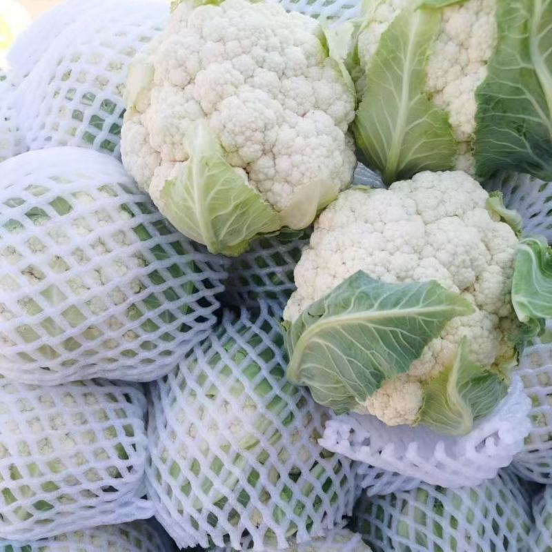 新鲜松花菜，全国发货，大量上市，欢迎进店沟通购买。